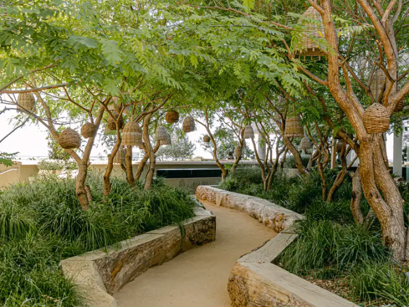 A garden path shaded by trees and woven lanterns