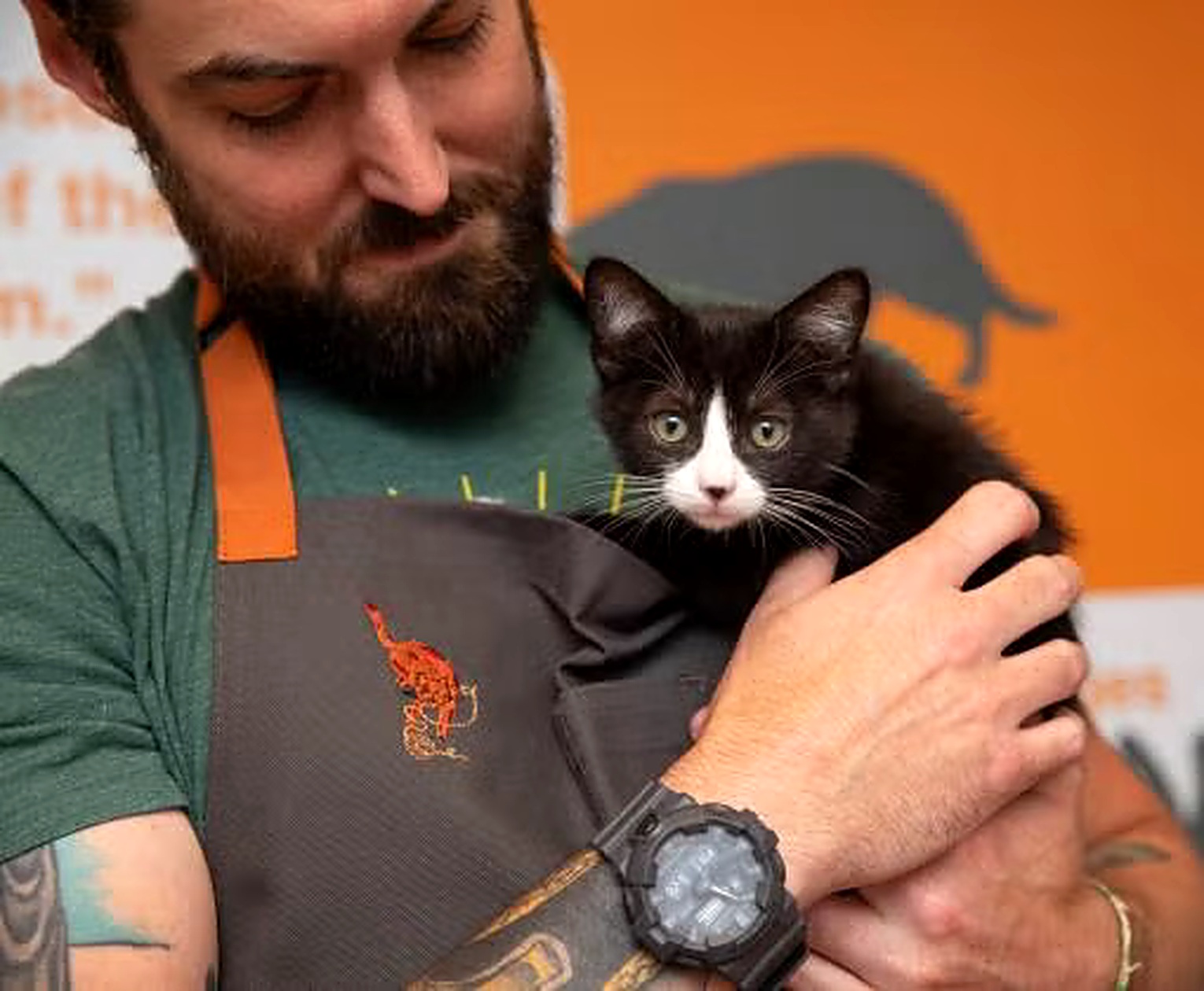 A volunteer holding a rescue kitten close at an animal shelter adoption event